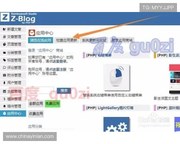 皇冠手机版官网的安全性分析与用户保护措施