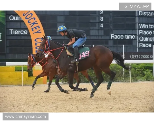 掌握澳门赛马会赛事资讯第一手资料助力投注策略优化