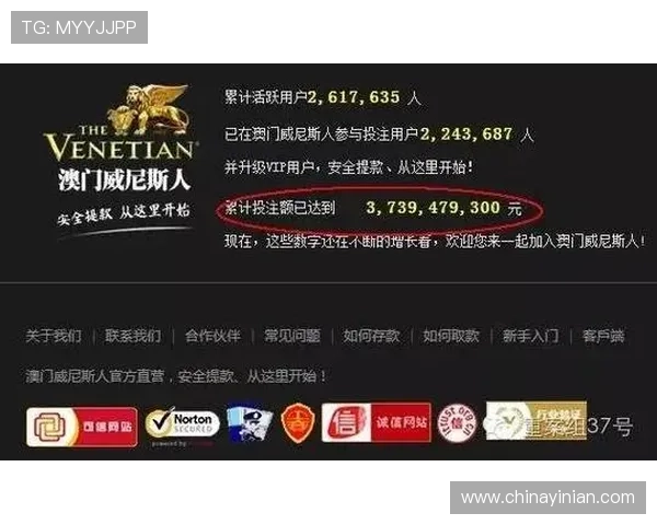 澳门新葡京网址官方平台，确保玩家享受优质的线上博彩服务